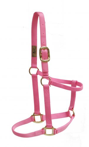 Small Horse Halter