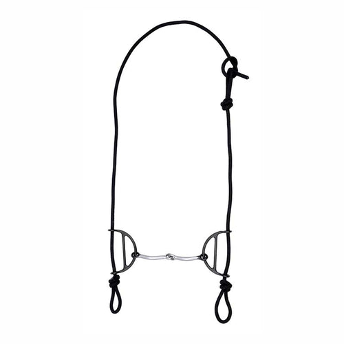 Sliding Headstall Gag Bit