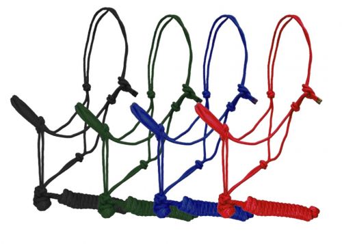 Rope Halter with Lead