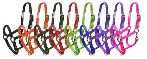 Shoman Average Size Horse Halters