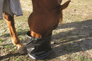 Large Collapsible Water Pail